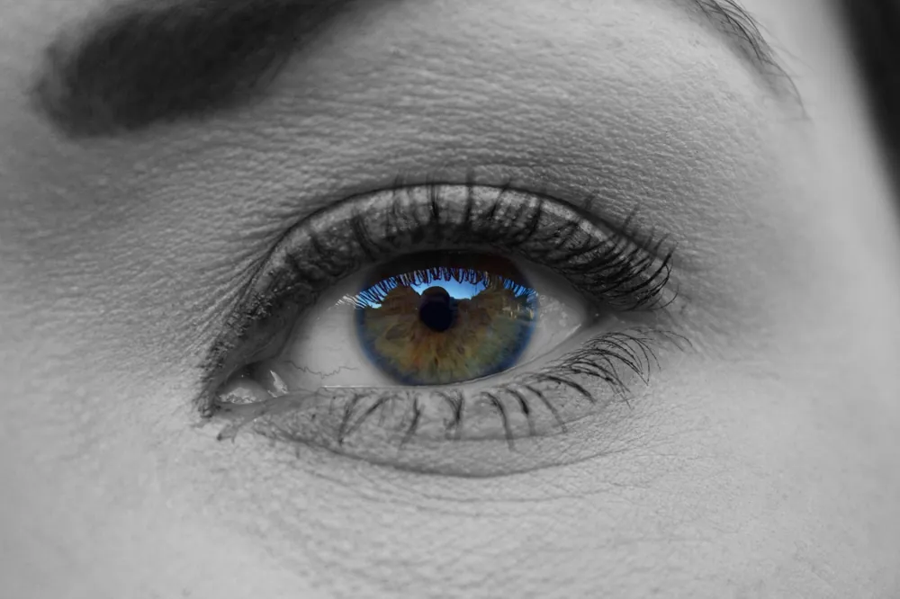 huile de ricin appliquée sur les cils et les sourcils