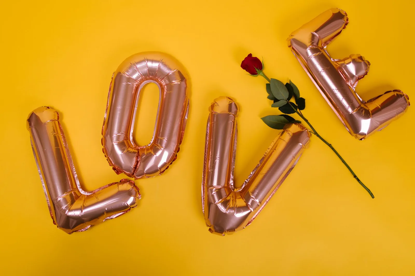 Rose jaune : signification, symbole et messages cachés