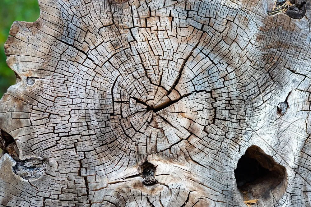 atténuer cernes naturellement