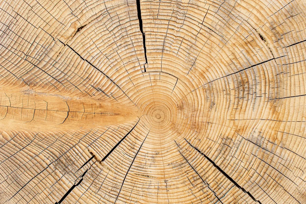 atténuer cernes naturellement