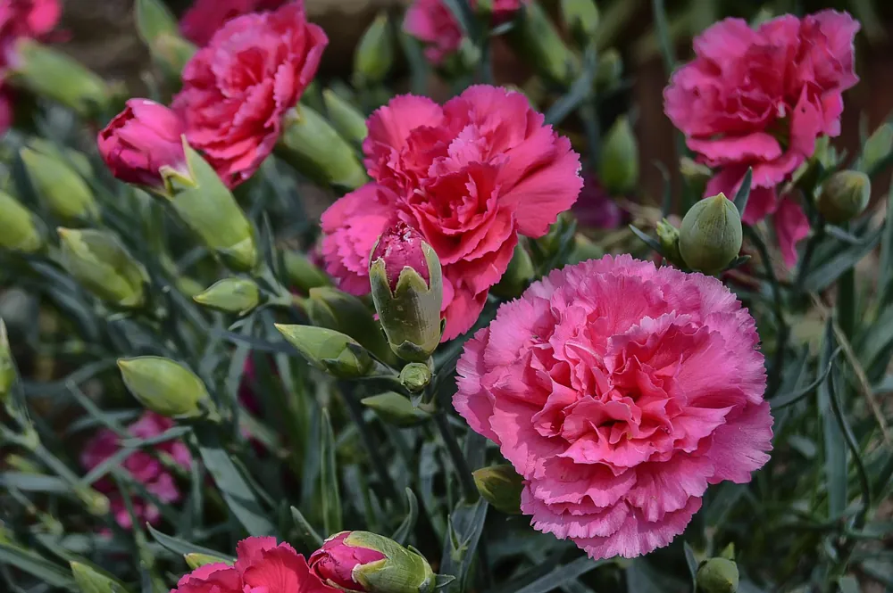 choisir fond de teint carnation